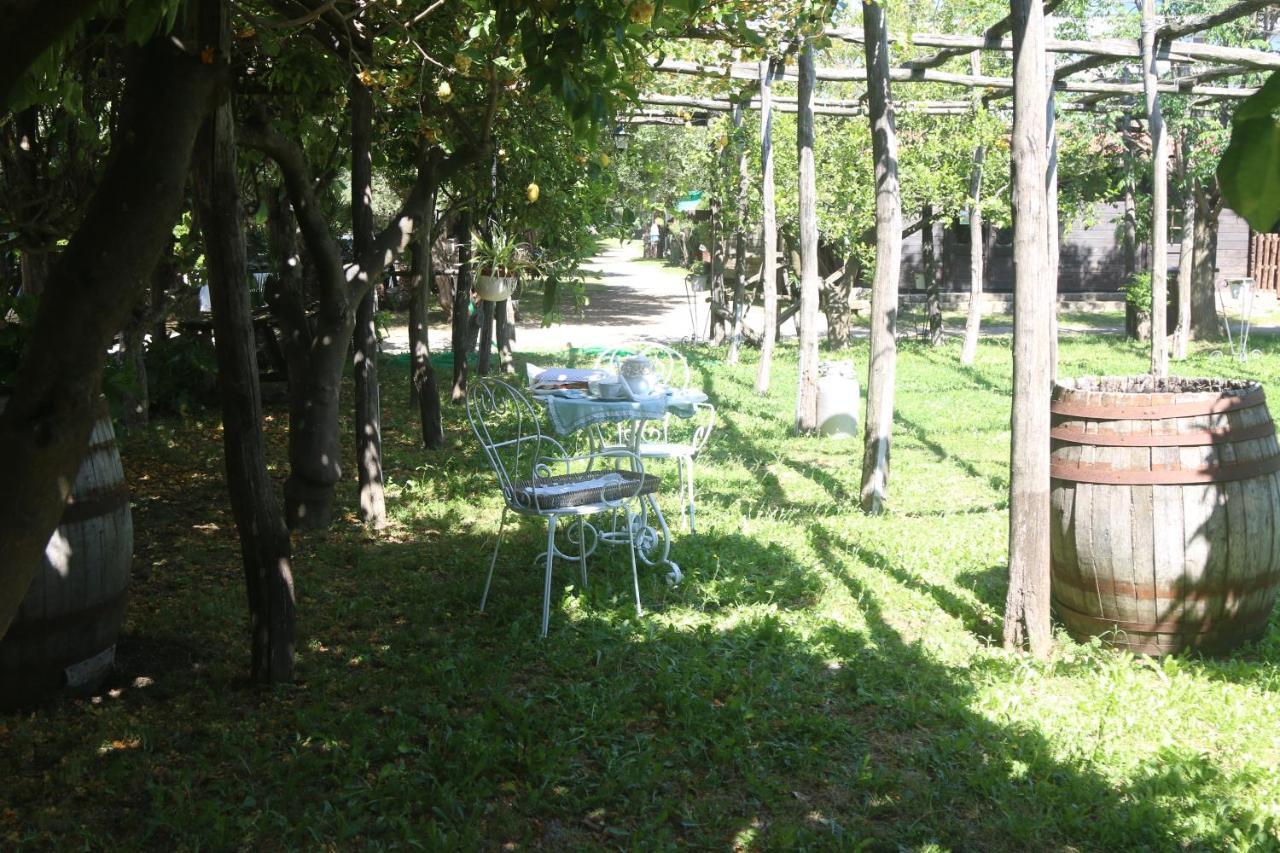 Apartmán Emy'S Country House Castellammare di Stabia Exteriér fotografie
